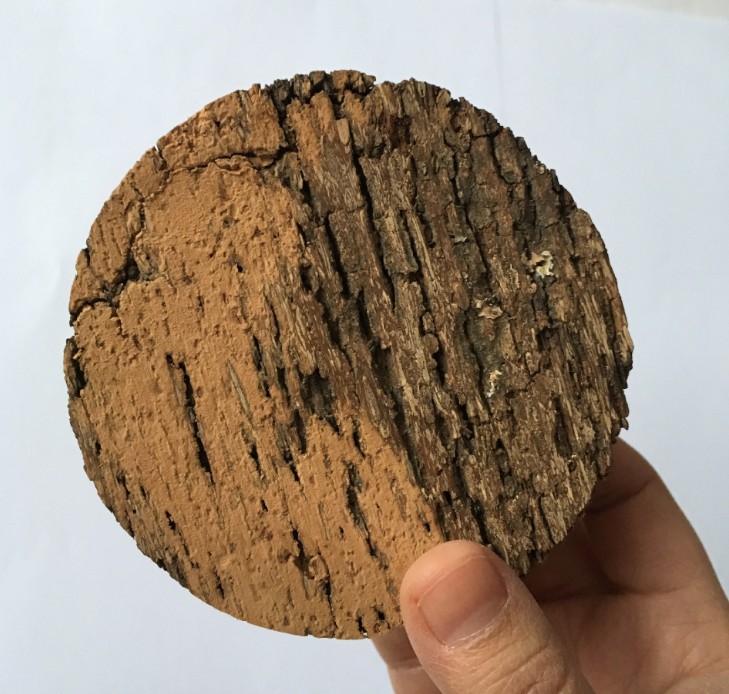  樹皮軟木塞